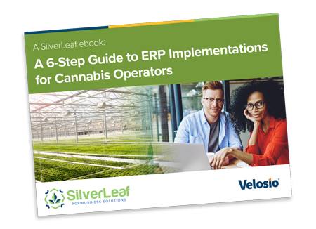 Cannabis Operator's Guide to ERP